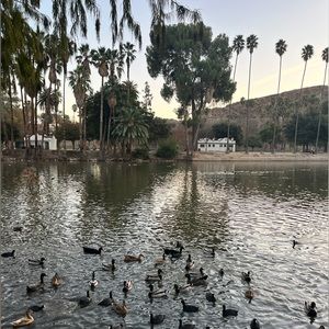 Meet your Posher, Deanna